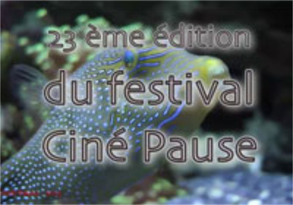 Festival Ciné Pause 2013